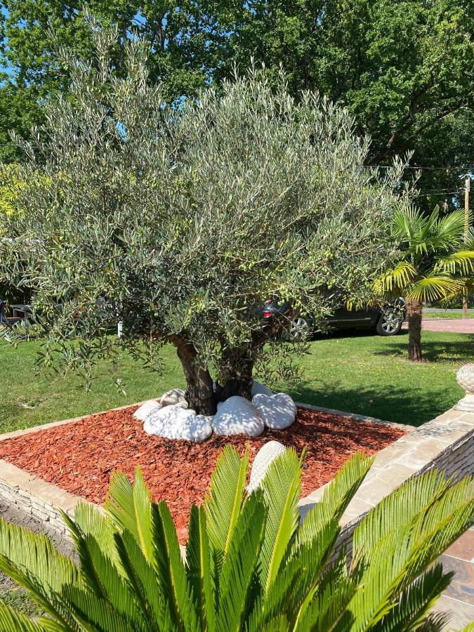 Le Clos Des Chenes Challans Εξωτερικό φωτογραφία